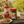 Load image into Gallery viewer, STORK CLUB x NUDOSSI LIMITED EDITION I SPIRITUOSE I 700ml I 42% Vol.
